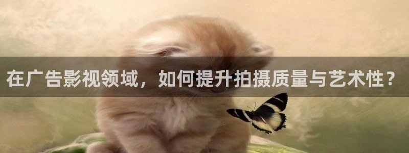 蓝莓影院免费观看