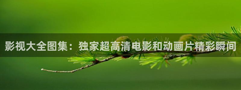 蓝莓影院地址：影视大全图集：独家超高清电影和动画片精彩瞬间